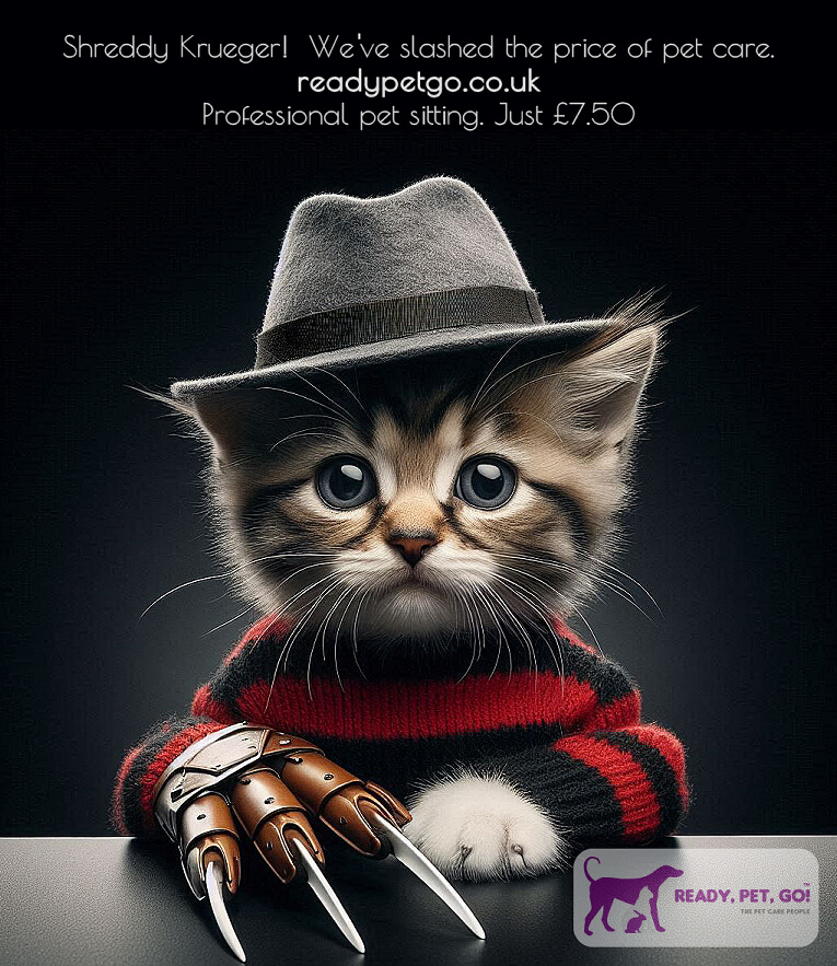 Dog Day Care in Avery Hill (SE9, DA15)